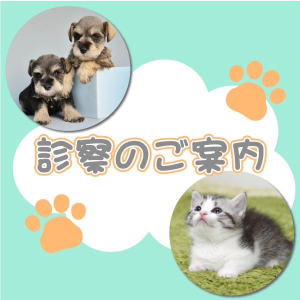 岡山市南区岡山南動物病院診察のご案内