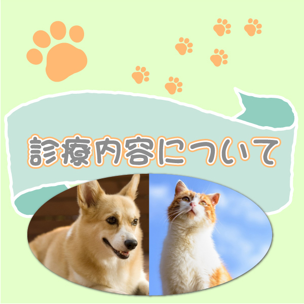 岡山市南区岡山南動物病院診療内容について